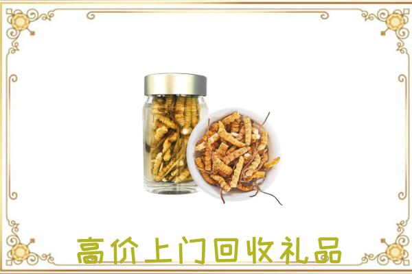 嘉善周边回收虫草